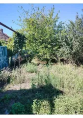 1/4 доля дома и земельного участка, 96,5 кв.м., Ставропольский край. 1/4 доля в праве на жилое здание, площадь: 96,5 кв.м., кадастровый номер: 26:04:130207:522 и 1/4 доля в праве на земельный участок, площадь: 2 000 кв.м., категория земель: Земли населенных пунктов, разрешенное использование: Для…
