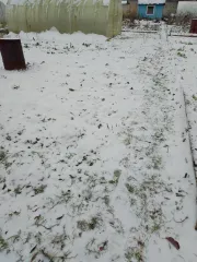 Земельный участок 380 кв. м, Тверская область, кадастровый номер 69:47:0080402:23. Категория земли - земли населенных пунктов, вид разрешенного использования – для ведения садоводства. Местоположение установлено относительно ориентира, расположенного в границах участка. Почтовый адрес ориентира…