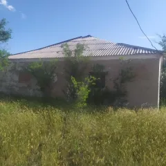 Земельный участок 1000 кв.м и нежилое здание 124,9 кв.м, Алтайский край, Табунский район земельный участок площадью 1000 кв. м. с кадастровым номером 22:46:030401:179, РНФИ П11220173953 по адресу: Алтайский край, Табунский район, с. Забавное, ул. Р.Люксембург, 23 с расположенным на нем объектом…