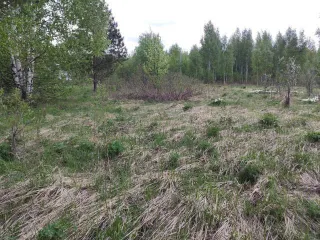 Земельный участок в Татарстане, 600 кв.м., расположенный по адресу: Россия, Республика Татарстан, Верхнеуслонский муниципальный район, Набережно-Морквашское сельское поселение, "Родник" СНТ, д.б/н, с кадастровым номером: 16:15:121401:453, площадью 600 кв.м. Является предметом залога ПАО "Sberbank"…