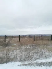 Земельный участок, площадью 1072+/-23 кв.м, кадастровый №24:04:0301001:874, расположенный по адресу: Красноярский край, местоположение установлено относительно ориентира, расположенного в границах участка: почтовый адрес: Красноярский край, Березовский район, ДНТ «Восточное» участок №130. Начальная…