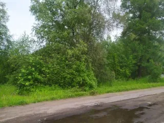 Земельный участок категория земель: земли населенных пунктов, разрешенное использование: для индивидуального жилищного строительства, площадью 1700 кв.м. Нежилое здание, площадью 66,0 кв.м., количество этажей: 1. Кадастровый номер нежилого здания: 47:10:1129002:235. Состояние объекта…