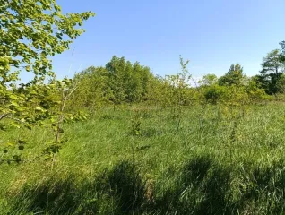 Земельный участок 64 000 кв.м, Калининградская обл., Гурьевский р-н. Земельный участок - 64 000 +/- 2 214 кв. м, адрес: местоположение установлено относительно ориентира, расположенного в границах участка, почтовый адрес ориентира: Калининградская обл., Гурьевский р-н, ТОО «Прибрежное-1»…