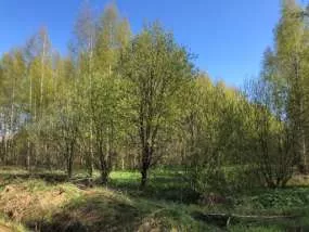 Земельный участок, 76:09:093401:2327, Ярославская обл., Некрасовский р-н, с/о Климовский, д. Климовское, тер с/х земля Климовское, 1867 +/-30 кв.м.