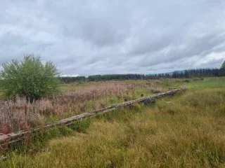 Земельный участок 2 000 004 кв.м, земельный участок 2 000 004 +/- 3 913 кв.м, общей площадью 2 000 004 +/- 3 913 кв.м, местоположение установлено относительно ориентира, расположенного в границах участка. Почтовый адрес ориентира: Забайкальский край, Читинский район, а/д Chita-Romanovka, падь…