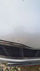 Kia Rio, 2013. Транспортное средство модель: Kia Rio; VIN: Z94CC4IBBER164365. Транспортное средство модель: киа рио; год выпуска: 2013; уникальный номер записи: 966482381; государственный регистрационный номер: К527ВО193; VIN: Z94CC4IBBER164365.