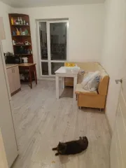 Квартира в Ленинградской обл., 57,9 кв.м, 2 комн. Жилое помещение, расположенное по адресу: Ленинградская обл, Всеволожский р-н, гп Янино-1, мкр Янила Кантри, ул Тюльпанов, д 2, кв 56, кадастровый номер: 47:07:1039001:18060 (имеются аресты и ограничения, имущество находится в залоге АО…