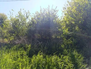 Земельный участок 25 327 кв. м, Калининградская обл., Зеленоградский р-н, вблизи пос. Янтаровка, кадастровый номер 39:05:030510:87, земли населенных пунктов - жилая застройка, ограничения и обременения: ограничения прав на земельный участок, предусмотренные ст. 56 Земельного кодекса РФ.