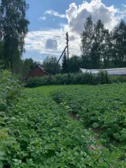 Земельный участок 764 кв.м., ХМАО-Югра. Категория земель: земли сельскохозяйственного назначения, разрешенное использование: под садоводство. Находится по адресу: Ханты-Мансийский автономный округ - Югра, р-н Нефтеюганский, урочище «Сингапайский остров», район КНС-7, СНТ «Энергетик», участок № 56…