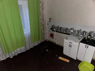 Дом 96,9 кв.м. и земельный участок 1000 кв.м. в Свердловской обл. Дом, площадью 96,9 кв.м., с кадастровым номером: 66:42:0201003:2799, расположенный на земельном участке, площадью 1 000 кв.м., с кадастровым номером: 66:42:0201003:1467, по адресу: Свердловская область, г. Заречный, кв-л Соловьиная…