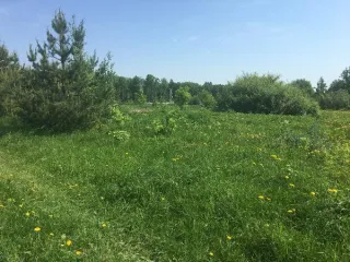 Земельный участок, 1123 кв.м, Московская область, КН 50:13:0040206:888, площадь 1123, кадастровый номер 50:13:0040206:888, основной вид разрешенного использования 2.1.