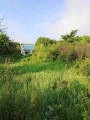 Земельный участок 446 кв.м Челябинская область, площадь 446 кв.м, адрес Российская Федерация, Челябинская область, городской округ Копейский, город Копейск, территория СНТ Кировец, земельный участок 1187, категория земель Земли населенных пунктов, разрешенное использование Для садоводства…