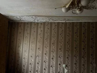 Помещение, назначение: жилое, Кадастровый номер 57:25:0020704:159, Площадь, 44.3 кв.м, этаж 1, Адрес  местоположение  Российская Федерация, Орловская область, г Орёл, ул Комсомольская, д 200, кв 61  Имуществу необходим ремонт. Имеется задолженность по кап.ремонту. Фото объекта на сайте торгов.