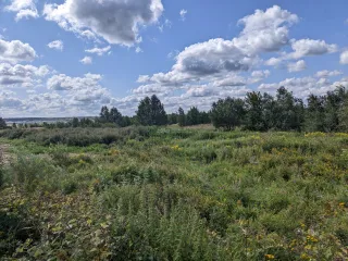 Земельные участки под производство площадью 10 000 +/- 175 кв. м и 63 018 +/- 439 кв. м в Московской области, Чеховском районе, с.п. Стремиловское, в районе деревни Сергеево. Категория земель: земли промышленности, энергетики, транспорта, связи, радиовещания, телевидения, информатики, а также земли…