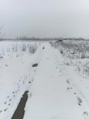 Земельный участок площадью 75697 квадратных метров, категория земель: земли населенных пунктов, вид разрешенного использования: для размещения и эксплуатации производственных объектов, кадастровый номер 23:39:0705001:1300, расположенный по адресу: Краснодарский край, Белореченский район…