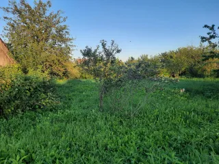 Земельный участок 555 кв.м Ивановская область, площадь 555 +/- 16 кв.м., назначение: СНТ, адрес (местонахождение): Россия, Ивановская область, Ивановский район, СНТ "Кадниково", уч.62, кадастровый (условный) номер: 37:05:011168:192