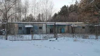 Нежилое здание 254.1 кв.м и земельный участок 1868 кв.м, Амурская область, г Благовещенск, п Аэропорт 1. Земельный участок. Площадь: 1 868 +/- 15 кв.м. Кадастровый номер: 28:01:060010:4. Категория земель: Земли населенных пунктов. Виды разрешенного использования: Почтовое отделение. Кадастровые…