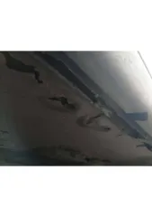 ВАЗ 2110, 1998 года выпуска, 89 л.с. Объем двигателя 1.5 л (1499 см³). VIN: XTA211000X0085829. Государственный регистрационный номер: Т187СТ36.