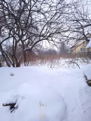Жилое здание, площадь 30 кв.м, кадастровый номер 74:03:1008003:20. Земельный участок, площадь 600 кв.м, категория земель - земли населенных пунктов, разрешенное использование для приусадебного землепользования, кадастровый номер 74:03:1008003:3. Адрес: Российская Федерация, Челябинская область…