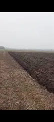 Земельный участок 2000 кв.м, Краснодарский край Земельный участок, кадастровый номер: 23:35:0304004:399, площадь 2000, местоположение установлено относительно ориентира, расположенного в границах участка. Почтовый адрес ориентира: Краснодарский край, Усть-Лабинский район, ст-ца Воронежская. С…