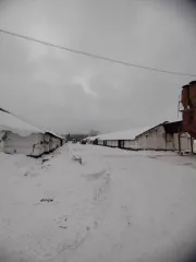 Имущественный комплекс ХПП в г. Тюкалинск, состоящий из следующих активов: Земельный участок. Земли населенных пунктов   Для не сельскохозяйственного производства, для размещения производственных зданий. Площадь: 69 973 кв.м. Кадастровый номер: 55:38:013202:25  Здание склада № 1, назначение…