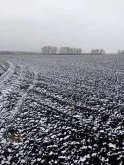 Земельный участок (доля 1/271), 12 713 156 кв.м, Республика Башкортостан, Чишминский р-н земельный участок 1/271 доли. Земельный участок для возделывания сельскохозяйственных культур. Кадастровый номер: 02:52:000000:319. Местоположение установлено относительно ориентира, расположенного в границах…