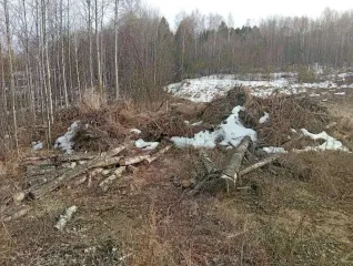 Земельный участок 1942 кв.м, Ангарский городской округ, СНТ "Русские березы-1", площадью 1 942 кв.м., расположенная по адресу: АНГАРСКИЙ ГОРОДСКОЙ ОКРУГ, Ангарский городской округ, автодорога "Подъезд к с. Савватеевка" СНТ "Русские березы-1", улица Овражная, земельный участок 511. Кадастровый…