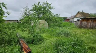 1/2 доля дома 42 кв.м и 1/2 доля участка 3504 кв.м Республика Башкортостан 1/2 доля в праве на жилое здание, площадь: 42кв.м., кадастровый номер: 02:22:190801:139 и 1/2 доля в праве на земельный участок , площадь: 3 504кв.м., категория земель: Земли населенных пунктов, разрешенное использование…