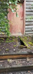 Нежилое здание 170.1 кв.м Нижегородская область, год ввода в эксплуатацию: 1950, количество подземных этажей: 0, вид ограничений и обременений: нет, общая площадь: 170.1, материал наружных стен здания: дерево, кадастровый номер: 52:11:0140003:401, назначение здания: нежилое, количество этажей: 1…