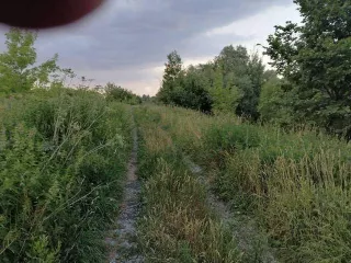 Земельный участок Московская область, Коломенский район, с. Акатьево земельный участок, общая площадь 800 м2, разрешенное использование   для ведения садоводства и огородничества, кадастровый номер 50:34:0040104:839, расстояние от основных магистралей  км.    46К 5131 – 0,51 км, транспортная…