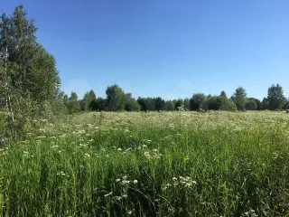 Земельный участок, кадастровый номер: 50:16:0502056:441, находящийся по адресу: Московская обл., Ногинский р-н, ЗАО «Электростальское». Виды разрешенного использования объекта недвижимости: пищевая промышленность. Площадь: 44142 +/- 147,07 кв.м. Находится в залоге у Morskoi Bank (AO).
