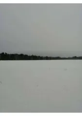 18/18 долей земельного участка, 3 418 033 кв.м, Курганская область 1/18 доля земельного участка в Курганской обл. еще 1/18 доля земельного участка в Курганской обл. еще 1/18 доля в праве на Земельный участок, площадь: 3 418 033кв.м., кадастровый номер: 45:18:000000:333, адрес (местонахождение)…