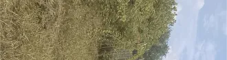 Земельный участок с кадастровым номером 72:01:0104001:594, площадью 493 +/  16 кв. м, расположенный по адресу: Тюменская область, Абатский район, территория СНТ «Строитель», ул. № 7, участок 18, с расположенным на нем кирпичным строением  дачный дом  площадью 16 кв. м. Земельный участок с…