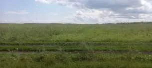 Право долгосрочной аренды земельного участка площадью 1 943 853 кв.м, кадастровый номер: 02:47:121101:10, адрес: Местоположение установлено относительно ориентира, расположенного в границах участка. Почтовый адрес ориентира: Республика Башкортостан, р-н. Уфимский, с/с. Николаевский. Имеются…
