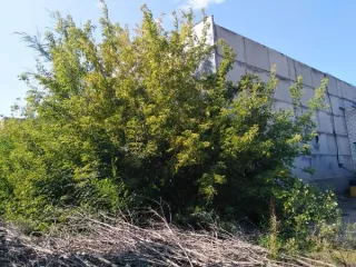 Незавершенное строительство 1327.7 кв.м в Ульяновской области. Объект незавершённого строительства площадью 1 327,7 кв. м с кадастровым номером 73:24:030101:7623, расположенного по адресу: Ульяновская область, г. Ульяновск, Засвияжский район, ш. Московское, д. 52А. Предельные параметры застройки…