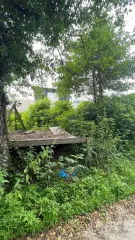 Земельный участок 300 кв.м, Краснодарский край, Сочи (Адлерский р-н, с. Вардане-Верино) - земельный участок, кадастровый номер 23:49:0000000:11535, расположен по адресу: Краснодарский край, г. Сочи, р-н Адлерский, с. Вардане-Верино, 300 +/- 6. Имущество находится в совместной собственности с…