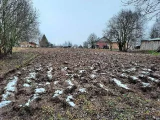 Земельный участок (кад. № 35:22:0310003:9), расположенный по адресу: РФ, Вологодская область, р-н Череповецкий, Домозеровский с/с, д. Якушево. Площадь 1800 кв.м. Категория земель: Земли населенных пунктов. Виды разрешенного использования: Для ведения личного подсобного хозяйства.