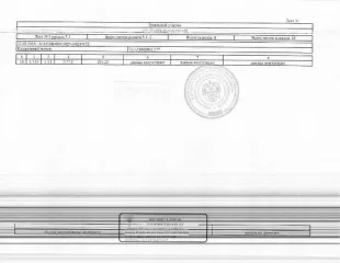 Земельный участок площадью 67689 кв.м в Нижнетавдинском районе, 0,55 км на юго-запад от границы села Черепаново. Кадастровый номер: 72:12:1602001:377. Вид разрешённого использования: 6.0. На государственную регистрацию сделки, права, ограничения права не представлено согласие супруги Прачева Д.В…