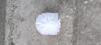 Тряпки для швабры, диффузор бампера пластиковый (накладка) в комплекте с крепежными элементами, щетки для уборки дома и черенки к ним, столик с металлическими раскладываемыми ножками, изделия для игры: шахматы настольные, набор для ванной комнаты, пистолет продувочный, ершики для унитаза…