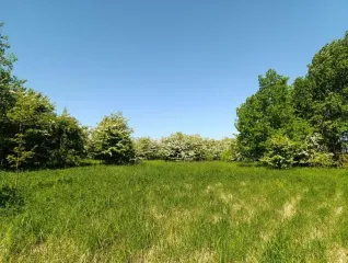 Земельный участок 66 300 кв. м, Калининградская обл., Гурьевский р-н, местоположение установлено относительно ориентира, расположенного в границах участка, почтовый адрес ориентира: Калининградская обл., Гурьевский р-н, ТОО Прибрежное-1, кадастровый номер 39:03:080814:30, земли населенных пунктов -…