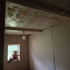 Доля дома и участка 742 м² в Пензенской области: 1/4 доля дома и 1/4 доля земельного участка. Земельный участок, кадастровый номер 58:22:0420202:48, вид разрешенного использования под индивидуальную жилую застройку. Местоположение установлено относительно ориентира: Пензенская область, Никольский…