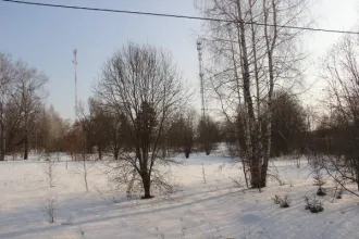 Земельный участок 2000 кв.м, Московская область, кадастровый номер 50:06:0110201:1304, основной вид разрешенного использования 2.2.