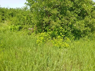 Земельный участок 500 кв.м Самарская область 1/2 на земельном участке, площадь 500, назначение: Земли населенных пунктов, адрес: Россия, Самарская область, Куйбышевский р-н, г. Самара, Подстепновка, линия 4, дом 142, кадастровый номер: 63:01:0417004:907.