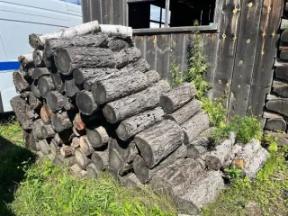 Дрова сосна, береза, лиственница 8.5 куб.м. Древесина пород сосна, береза, сосна и лиственница распилены на чурки. Количество и породный состав древесины: 8.504 куб.м.