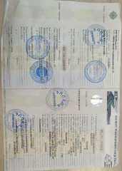 Kia Ceed 2011 года выпуска, VIN XWEHC512BC0013739, госномер К223ТР18.