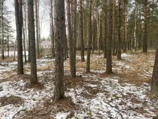 Земельный участок, расположенный по адресу: Российская Федерация, Владимирская область, г.о. Гусь-Хрустальный, город Гусь-Хрустальный, улица Стеклозаводская, ор.площадь 1510 кв.м Земельный участок, расположенный по адресу: Российская Федерация, Владимирская область, г.о. Гусь-Хрустальный, город…