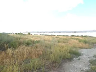Весовая площадью 15 м2, кадастровый номер: 74:05:0800001:828, адрес: Челябинская область, Варненский район, с. Бородиновка, ул. Мира, 43. Подводящий газопровод к зернотоку, инв. № 304. Склад площадью 1 195 м2, кадастровый номер: 74:05:0800001:531, адрес: Челябинская область, Варненский район, с…