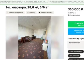 Квартира (доля 1/3), кадастровый номер: 27:18:0000011:3546, адрес: Российская Федерация, Хабаровский край, муниципальный район Амурский, городское поселение город Амурск, город Амурск, проспект Победы, дом 4, квартира 133, площадь 56.5 кв.м, вид права — общая долевая собственность 1/3, вид объекта…