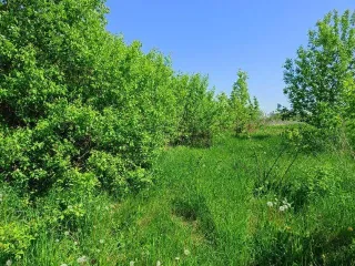 Toyota Camry 2018 года.