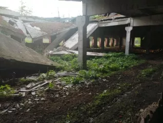Чувашская Республика - Чувашия, р-н Аликовский, Аликовское сельское поселение, окрестности д. Смородино, в 0,45 км по направлению на восток от разворотной площадки автомобильной дороги "Никольское-Ядрин-Калинино-Тенеево-Смородино". 1.1 земельный участок с кадастровым номером 21:07:160201:124, общей…